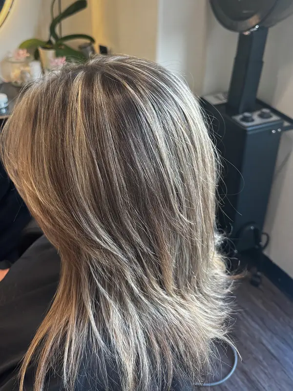 Fine blonde highlights woven through a darker brunette base, cut in long layers